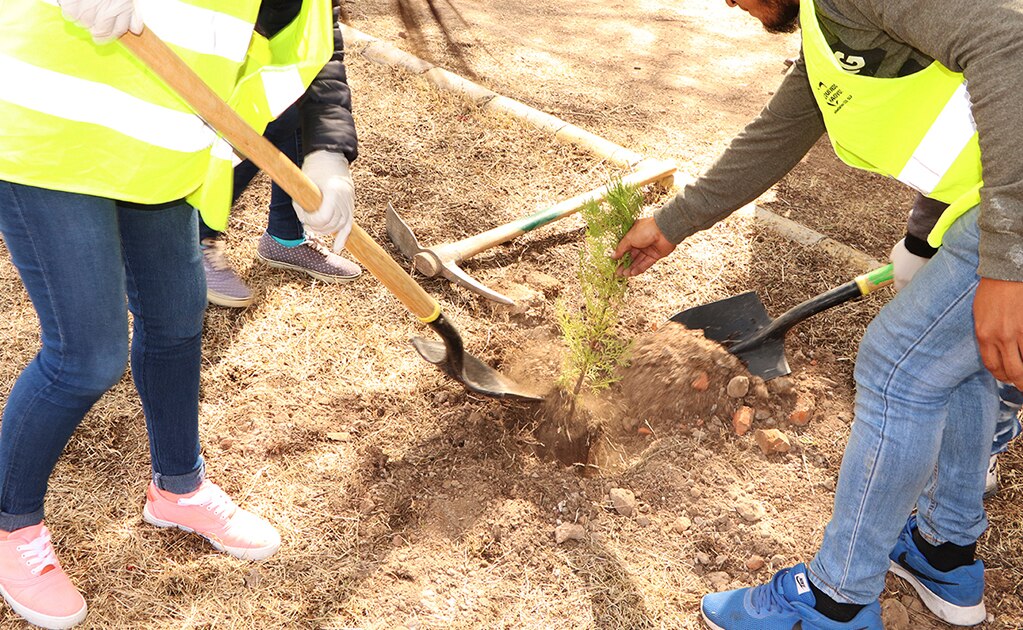 Realizan actividades de reforestación en Ciudad Satélite