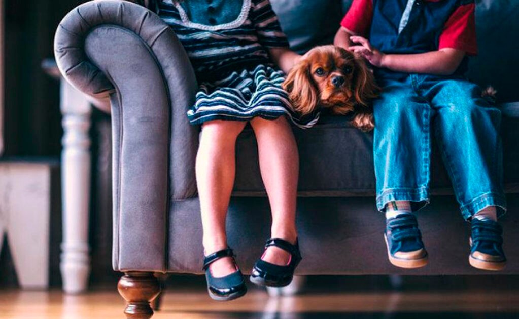 10 formas de ayudar a que los niños no le tengan miedo a los perros