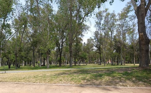 Sin membresía ni costo: las mejores zonas en SLP para hacer ejercicio al aire libre