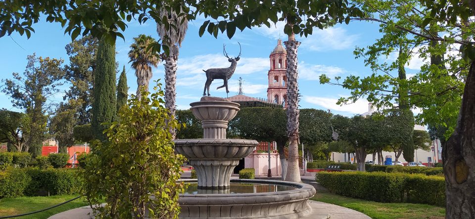 Foto: Municipio Venado.