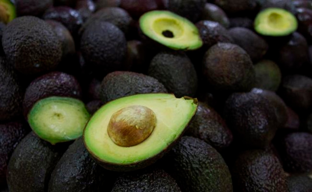 IMSS recomienda consumir aguacate contra colesterol y anemia