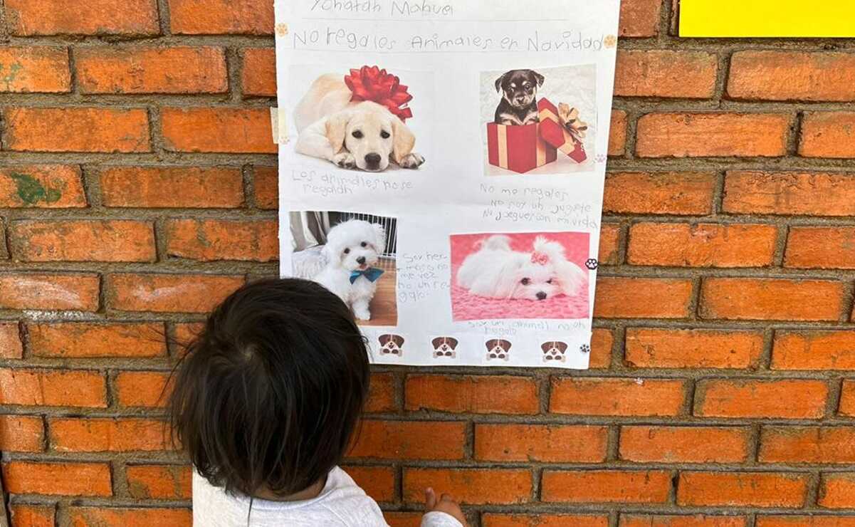 Implementan acciones en escuelas de SLP para crear conciencia sobre el cuidado de los animales. Fotos: Especiales