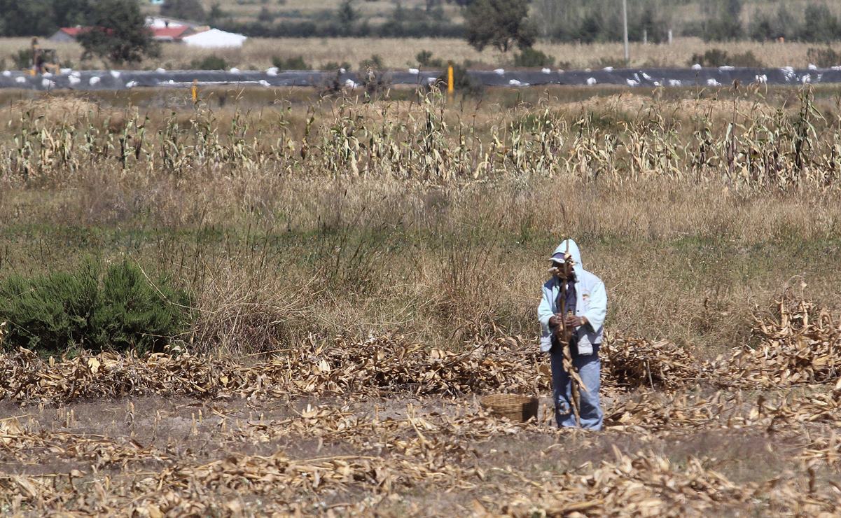 Por lo menos siete municipios de SLP en riesgo de sequía extrema, revela Protección Civil. Foto: Archivo