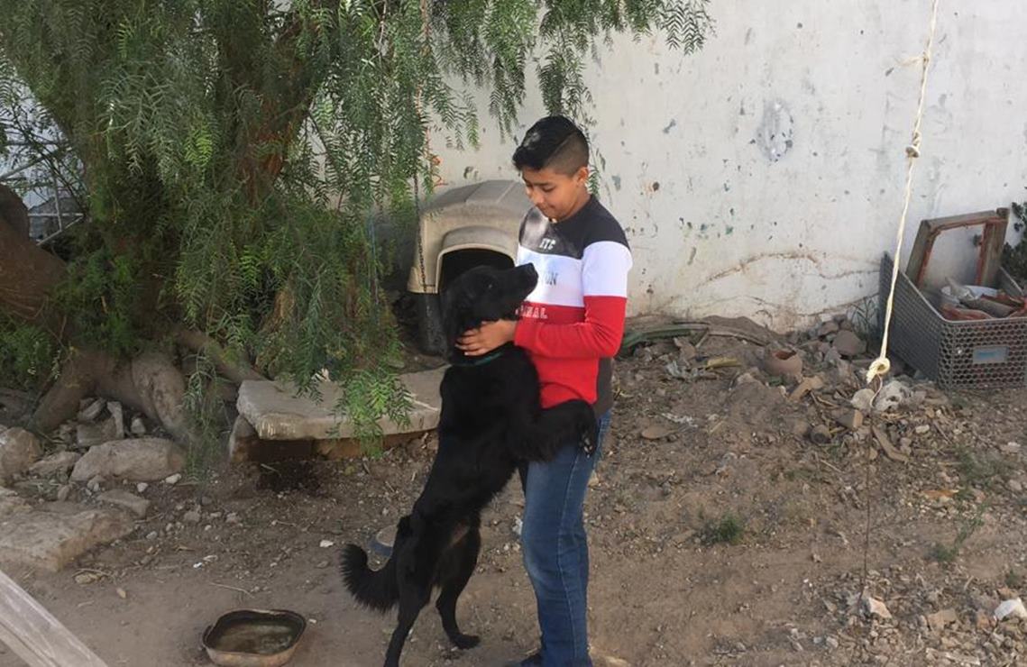 “Alexander y su manada”, el niño que rescata perritos en San Luis Potosí