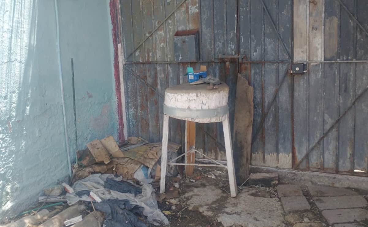 Pestilencia alertó a vecinos por matanza de perros para venta de tacos en Edomex