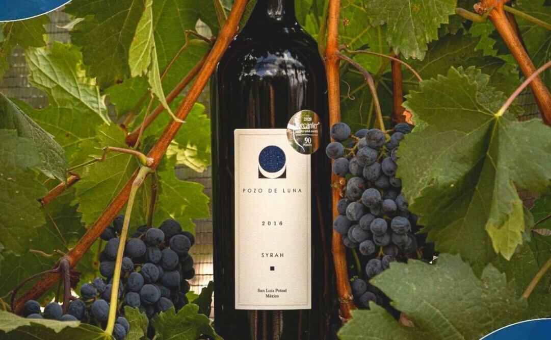 Pozo de Luna, el mejor vino de México es potosino; Syrah gana medalla de oro