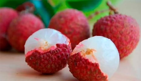 Mueren al menos 100 niños por comer lichis