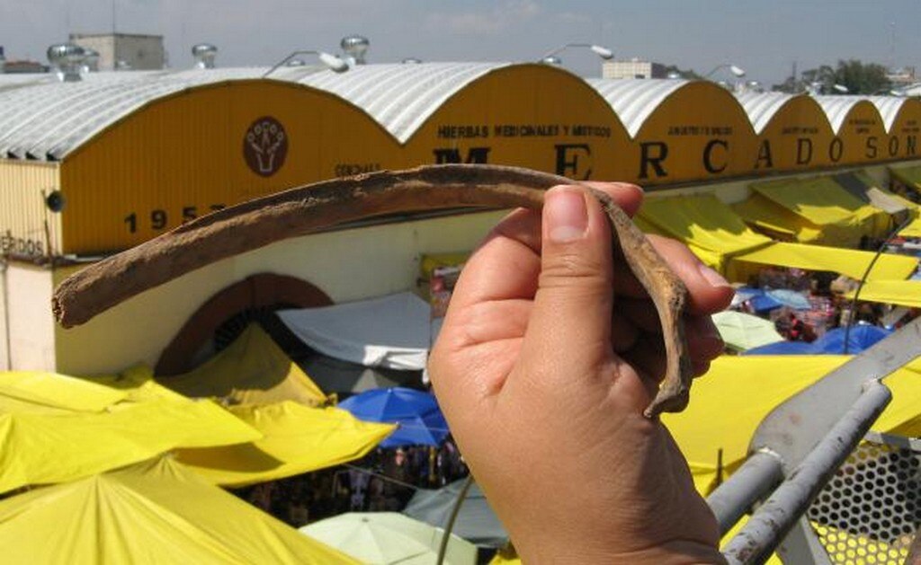  Cobran hasta $35 mil por santería con restos