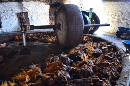 Para todo mal, sigue paso a paso la Ruta del Mezcal en SLP