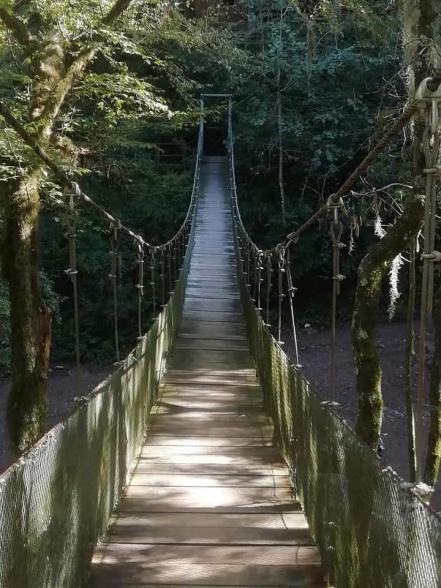Grutas de la Catedral, el Ángel y los Cristales, naturaleza mágica de Rioverde en SLP