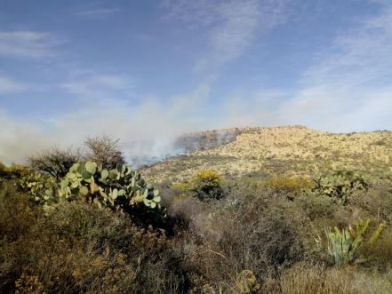 Más de mil hectáreas afectadas por incendios en este 2019: Conafor