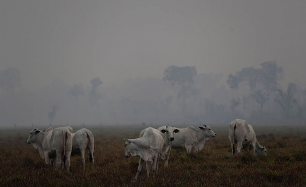 Días sin sol y problemas respiratorios, así se vive por los incendios en la Amazonia
