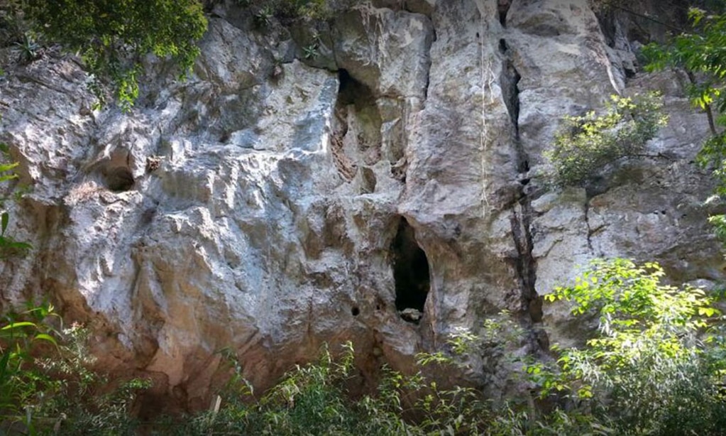 Turismo creará ruta para observación de aves migratorias 