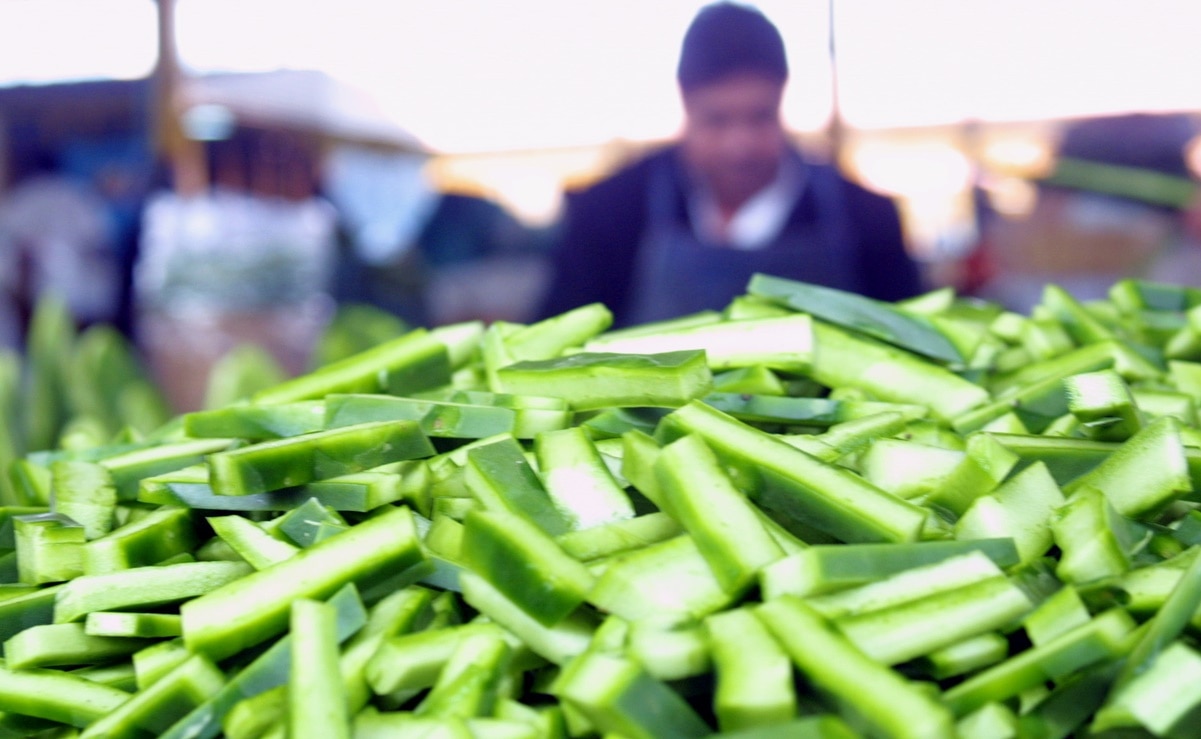 ¿Cómo comer nopales crudos?, disfruta de su textura y color verde esmeralda