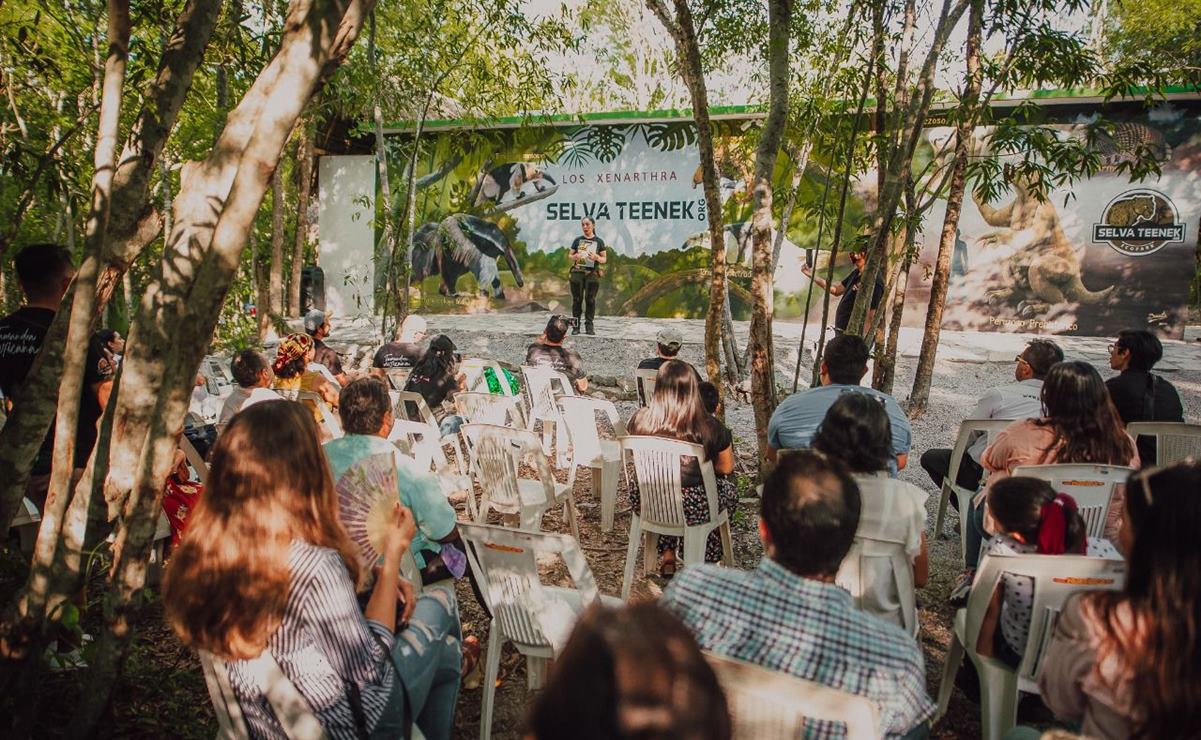 Inauguran centro de rescate de osos hormigueros en la Huasteca potosina. Foto: Especial