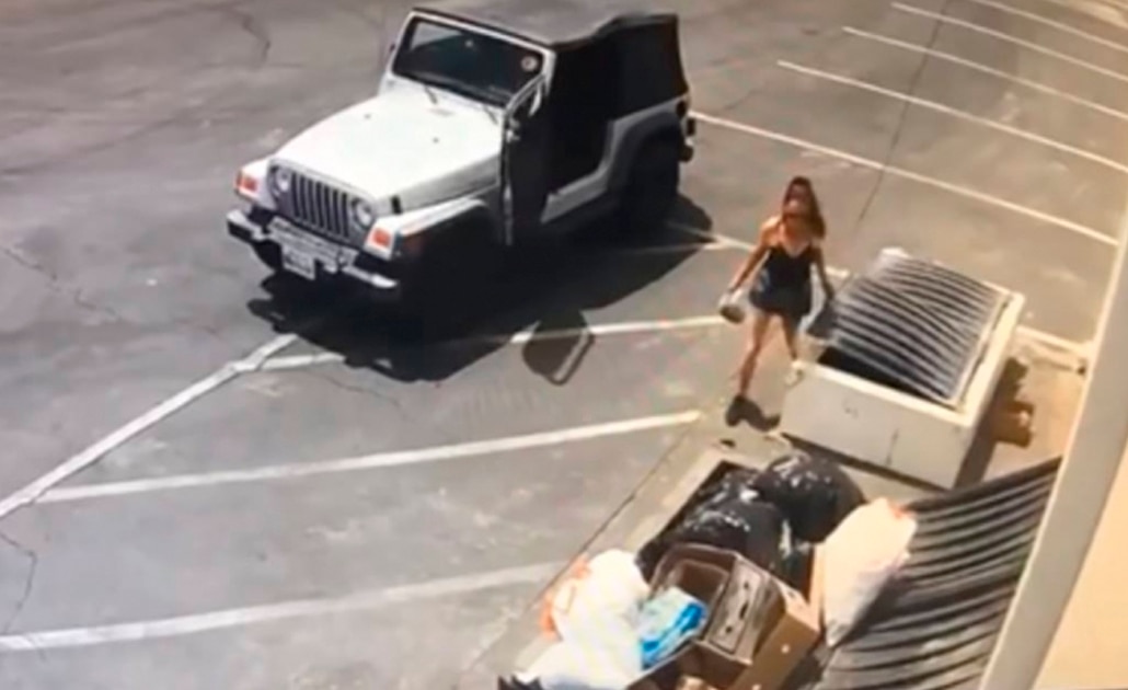 Mujer que tiró cachorros a basurero es condenada a un año de prisión