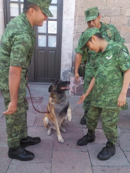 Juan Antonio, el pequeño soldado que enfrenta su primera batalla