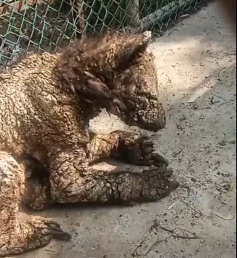 Foto: Facebook Cristina Marmolejo.