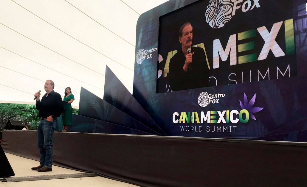 Fox: De legalizarse, instalaría un invernadero para producción de marihuana