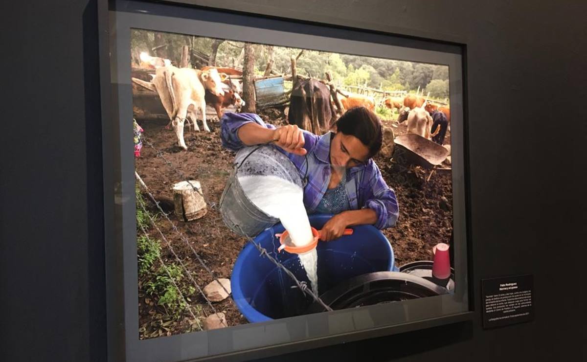 Inauguran seis exposiciones en SLP; buscan visibilizar la lucha de las mujeres a través del arte