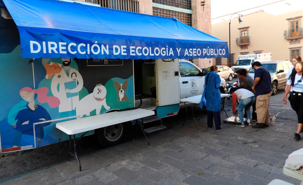 Atiende ayuntamiento a perros en situación de calle