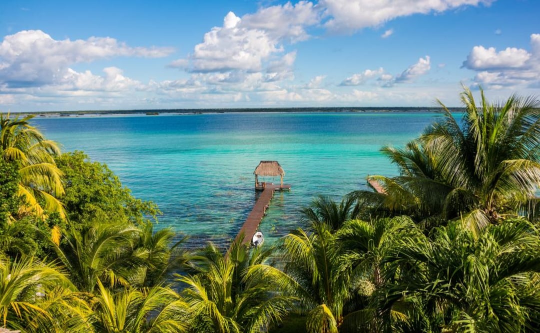 Foto: Archivo El Universal