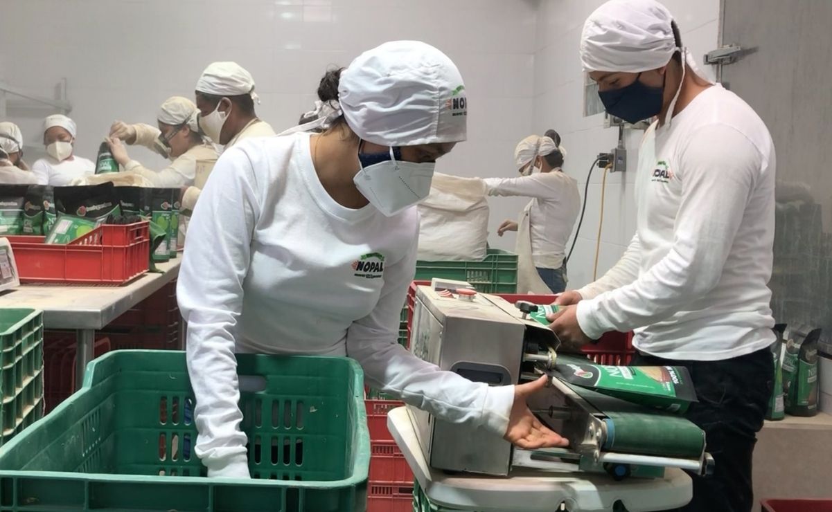 Jóvenes Construyendo el Futuro. ¿Cuántas vacantes para "ninis" hay en San Luis Potosí?