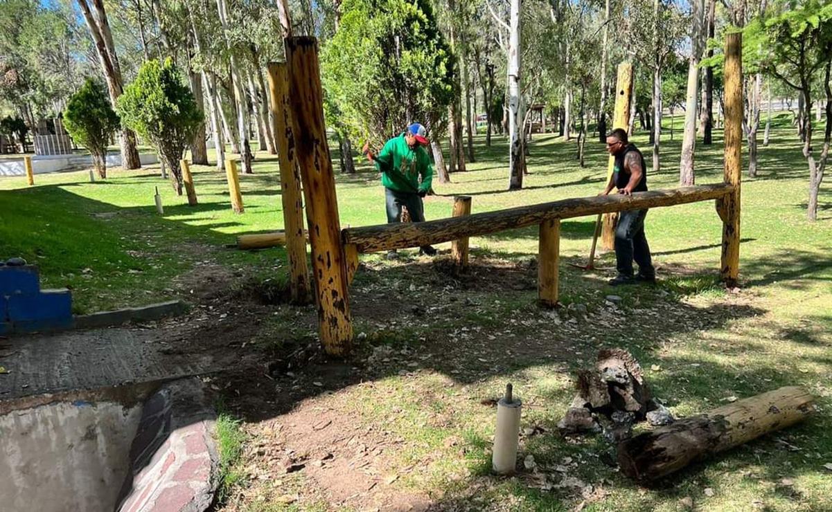 Confirma director de los parques Tangamanga que se han talado 35 árboles enfermos y muertos. Foto: Especial