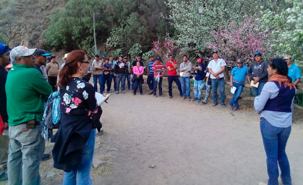 Capacitan a operadores de camionetas "Willys" en Real de Catorce