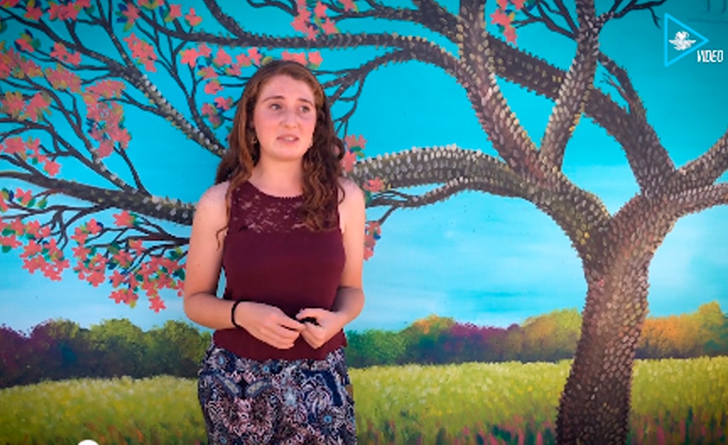 Prefieren bombardeos en Israel a inseguridad de México