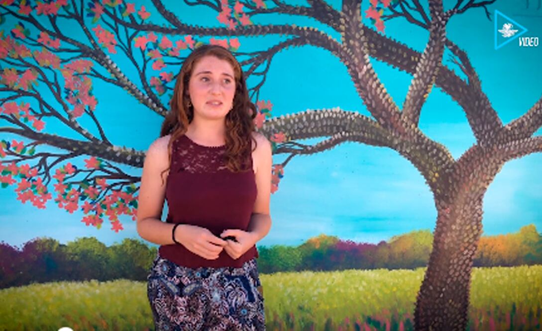 Prefieren bombardeos en Israel a inseguridad de México