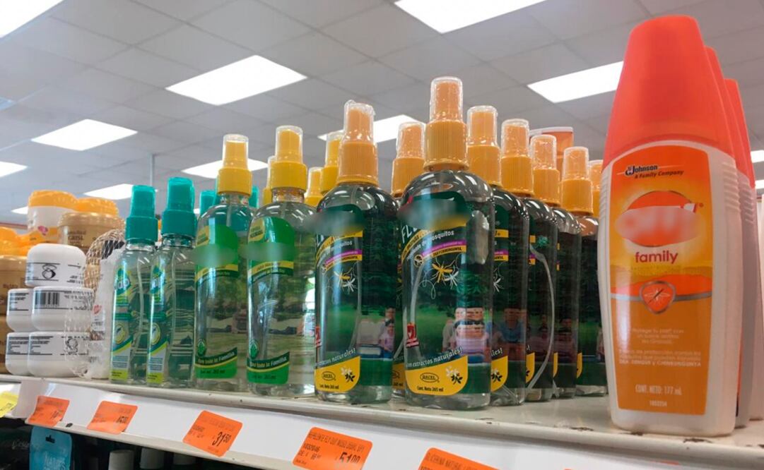 Foto: El Universal San Luis Potosí