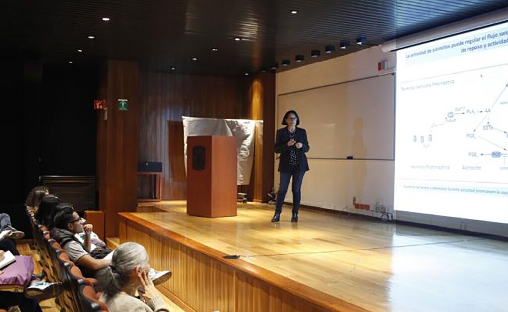 Obtienen resultados alentadores en la recuperación del daño cerebral en ratas con la administración de piruvato, un derivado de los ácidos grasos. (FOTO:FCCyT)