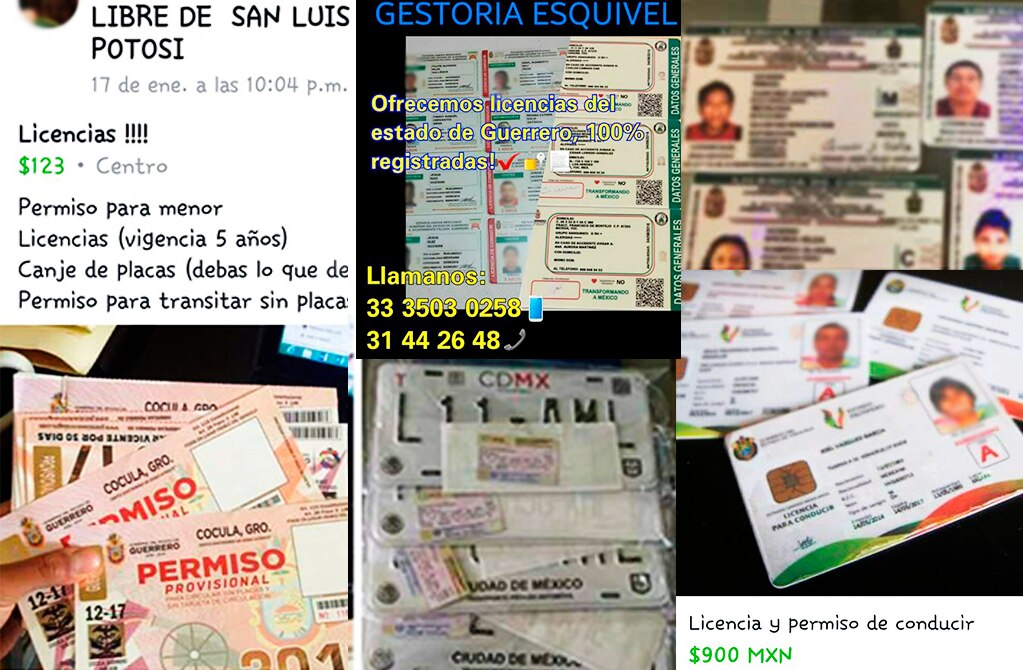 Crece oferta de licencias y placas apócrifas en internet