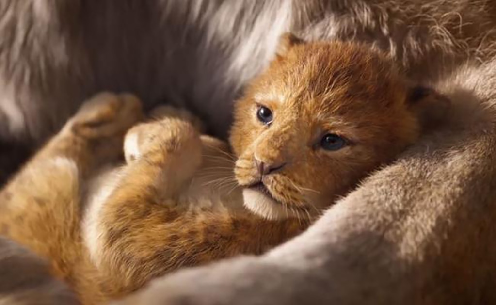 "El Rey León". FOTO: Especial