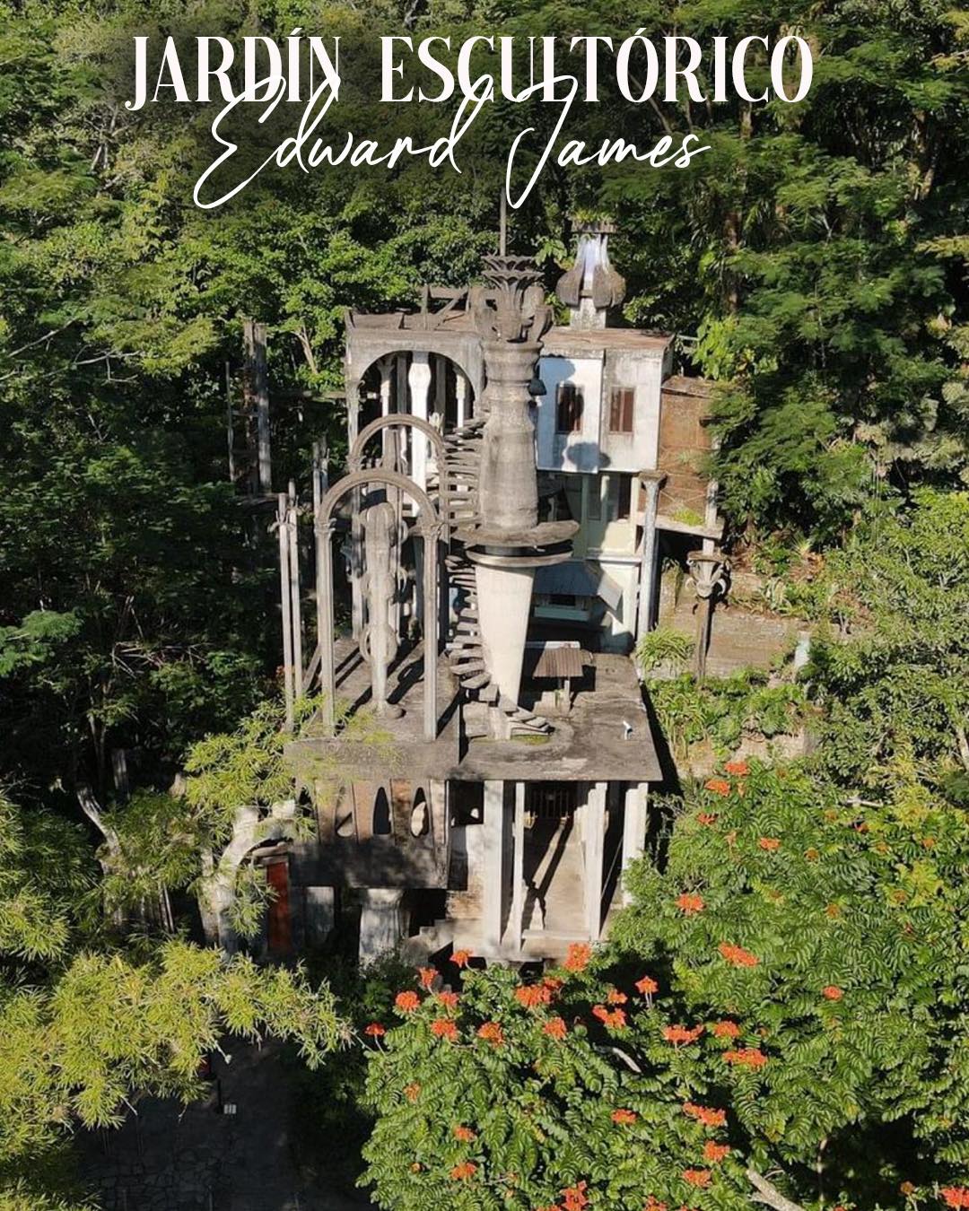 Foto: Facebook Ricardo Gallardo Cardona