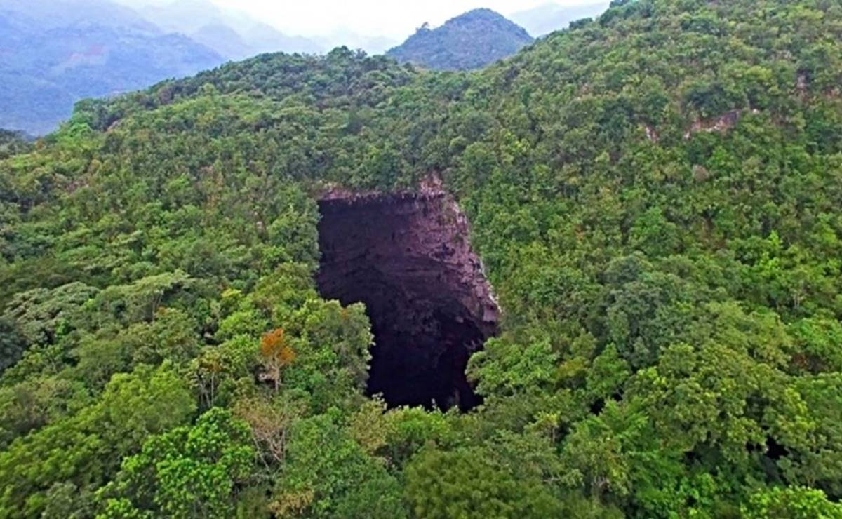 Sótano de las Golondrinas y Sótano de las Huahuas en SLP podrían ser zonas de avistamiento de aves profesional