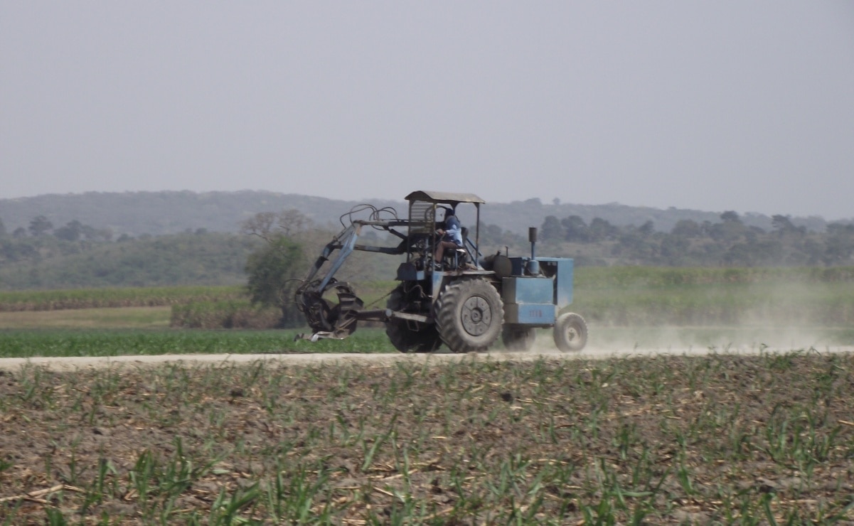 Huasteca potosina, zona de mayor sequía extrema en el país: Conagua