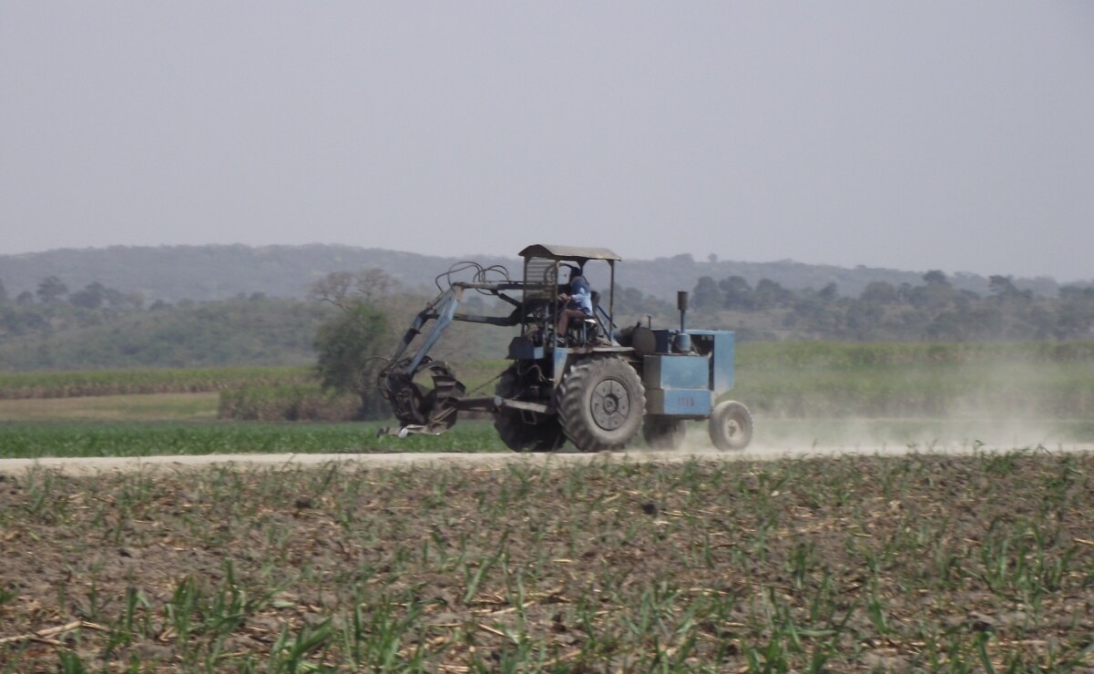 Foto: Archivo. EL UNIVERSAL