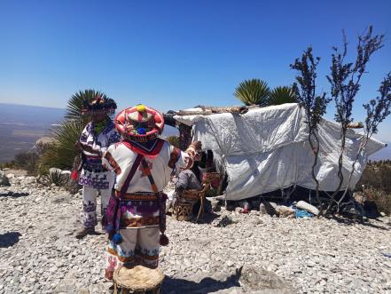 El saqueo incontrolado del peyote y la destrucción cultural wixárika en SLP
