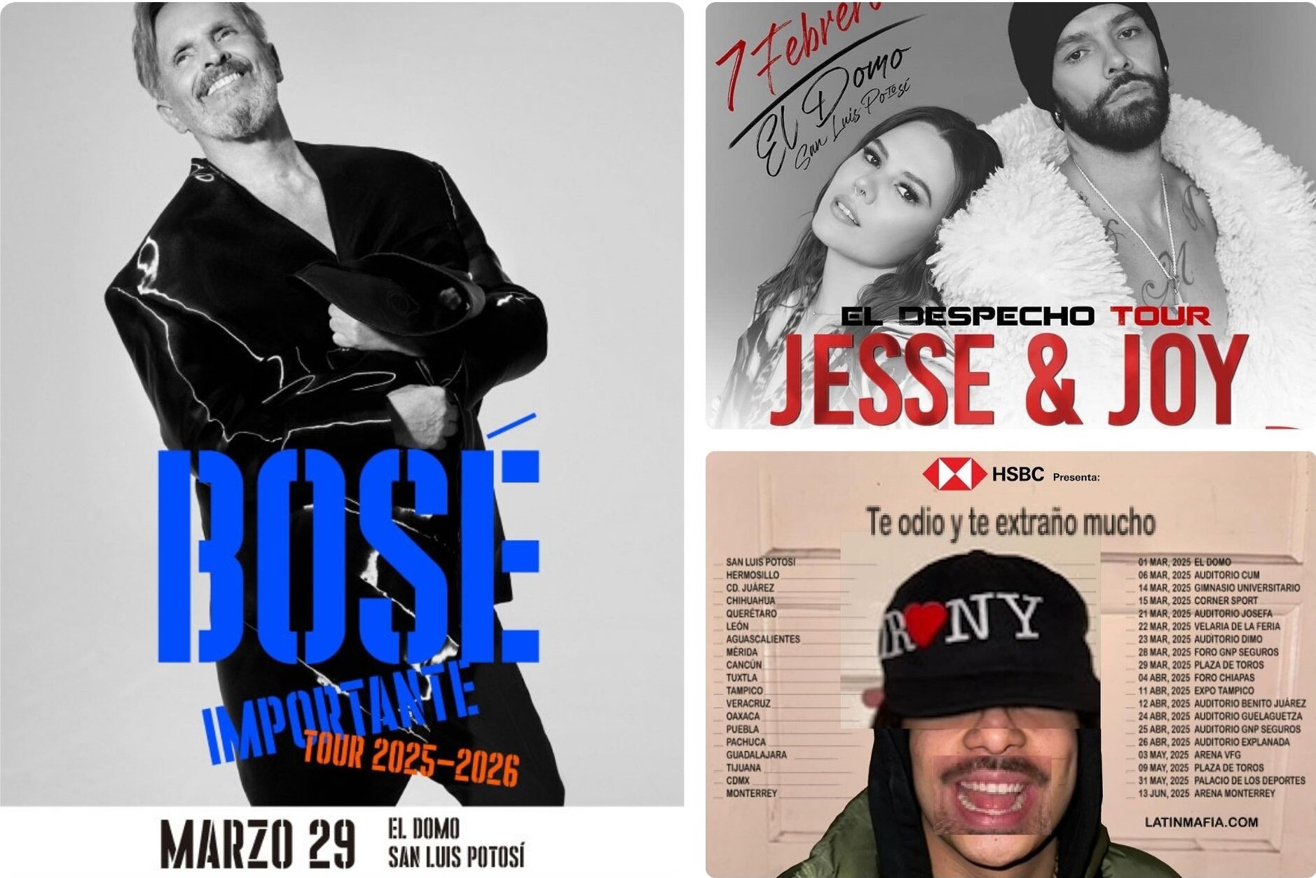 Próximos conciertos en El Domo en SLP. Foto: Especial.