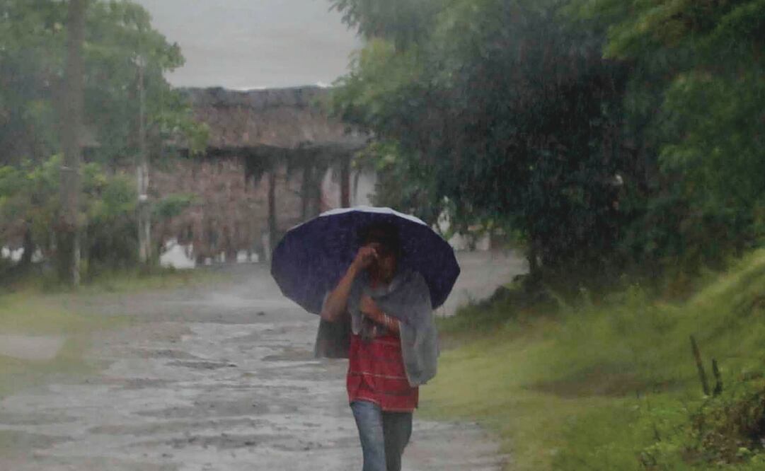 Foto: Archivo. EL UNIVERSAL