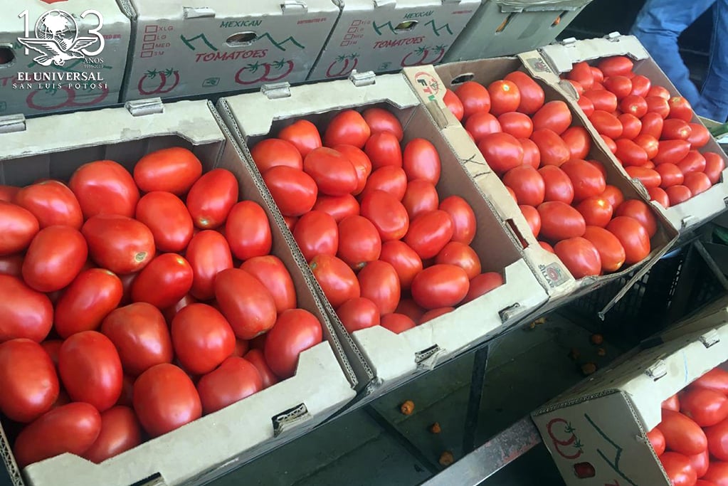 Se eleva precio del jitomate por baja en producción