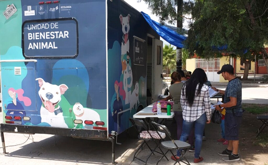 Esterilizan a más de 400 mascotas en la capital