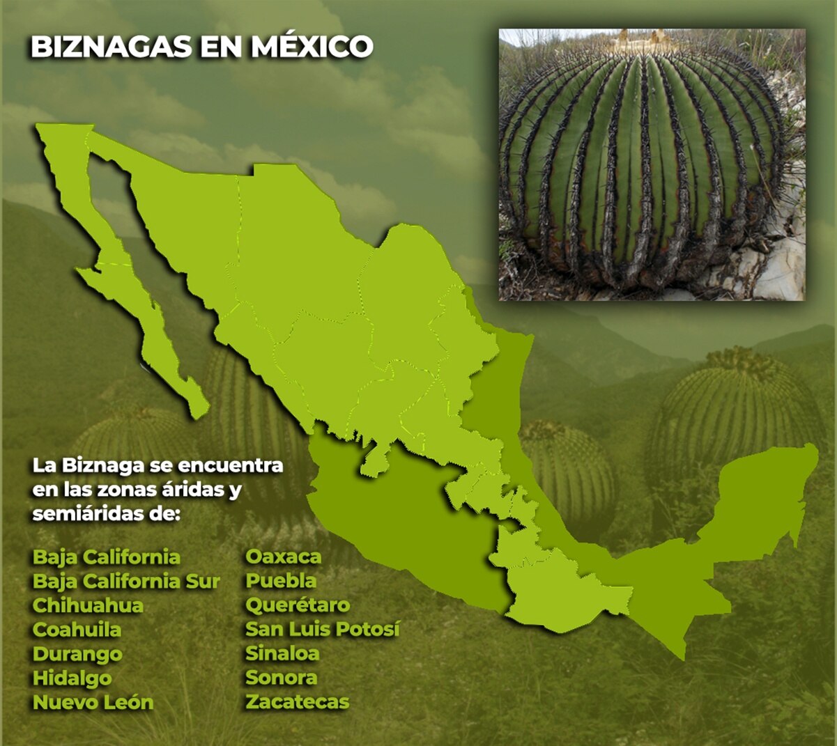 Foto: Gobierno de México.