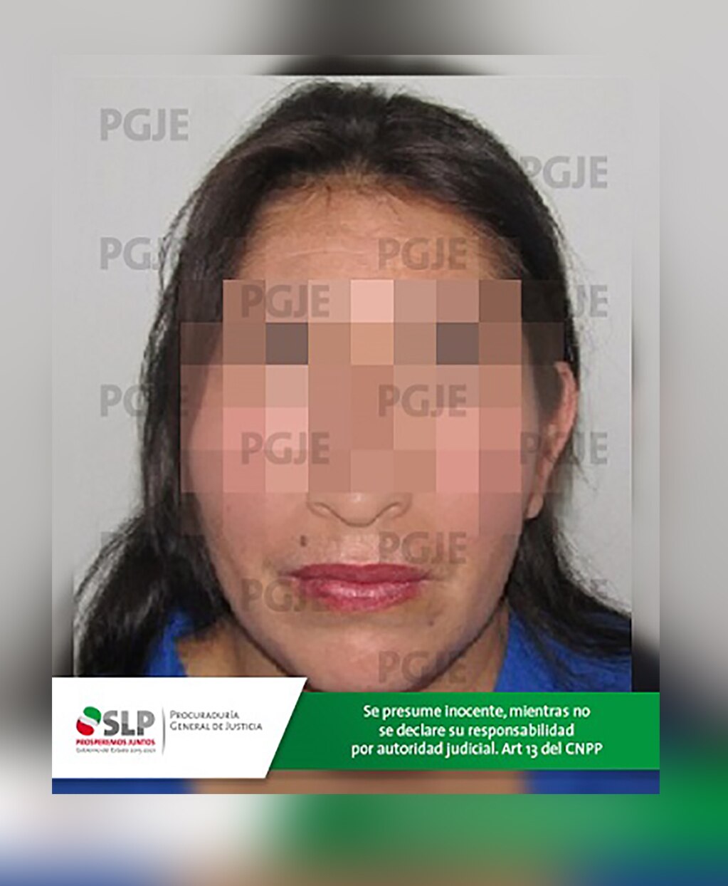 Mujer, detenida por violencia familiar