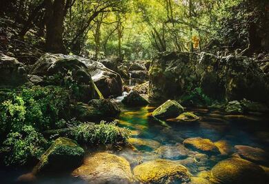 Cañón del Chivo: uno de los secretos naturales más fascinantes de la Sierra de Álvarez en SLP