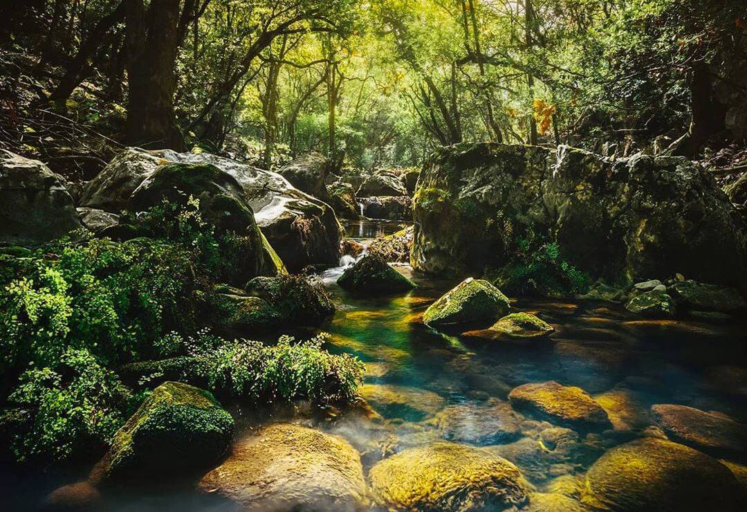 Cañón del Chivo: uno de los secretos naturales más fascinantes de la Sierra de Álvarez en SLP