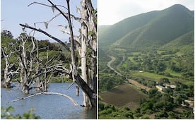 Tres rincones naturales para descubrir en Cárdenas SLP 