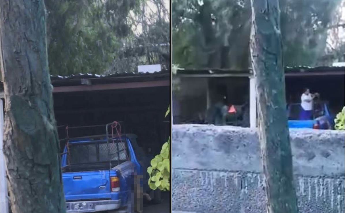 Maltrato animal. Mujer cuelga a un perrito hasta ahorcarlo en Rioverde; exigen justicia